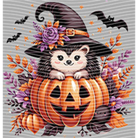 Halloween-WS 5800